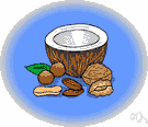 coconut - the edible white meat of a coconut
