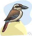 scrubbird - small fast-running Australian bird resembling a wren and frequenting brush or scrub