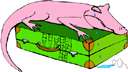upper side - the highest or uppermost side of anything