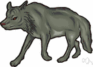 gray wolf - a wolf with a brindled grey coat living in forested northern regions of North America