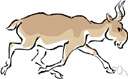 Saiga tatarica - goat-like antelope of central Eurasia having a stubby nose like a proboscis