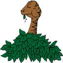 herbivore - any animal that feeds chiefly on grass and other plants