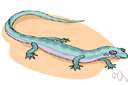 anguid lizard - any of a small family of lizards widely distributed in warm areas