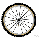 bicycle wheel - the wheel of a bicycle
