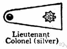 light colonel - a commissioned officer in the United States Army or Air Force or Marines holding a rank above major and below colonel