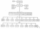 flow chart - a diagram of the sequence of operations in a computer program or an accounting system
