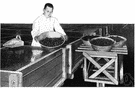 company man - an employee whose first loyalty is to the company rather than to fellow workers