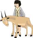 vet - provide veterinary care for