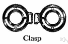 clasp - a fastener (as a buckle or hook) that is used to hold two things together