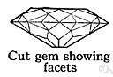 facet - a smooth surface (as of a bone or cut gemstone)