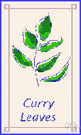 curry - (East Indian cookery) a pungent dish of vegetables or meats flavored with curry powder and usually eaten with rice