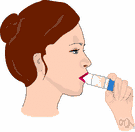 inhalator - a dispenser that produces a chemical vapor to be inhaled in order to relieve nasal congestion