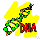 cistron - (genetics) a segment of DNA that is involved in producing a polypeptide chain