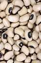 black-eyed pea - eaten fresh as shell beans or dried