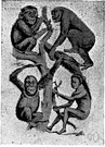 hominid - a primate of the family Hominidae