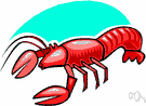 lobster - flesh of a lobster