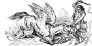wolf - a cruelly rapacious person