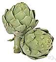 globe artichoke - a thistlelike flower head with edible fleshy leaves and heart