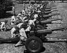 military drill - training in marching and the use of weapons