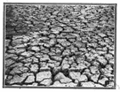 desertic soil - a type of soil that develops in arid climates