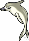 cetacean - large aquatic carnivorous mammal with fin-like forelimbs no hind limbs, including: whales