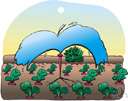 Irrigated land - definition of Irrigated land by The Free Dictionary