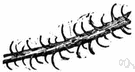 thorn - a small sharp-pointed tip resembling a spike on a stem or leaf