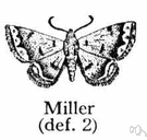 miller - any of various moths that have powdery wings