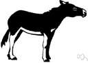 ass - hardy and sure-footed animal smaller and with longer ears than the horse