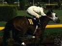 bangtail - a horse bred for racing