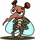 transmitter - any agent (person or animal or microorganism) that carries and transmits a disease