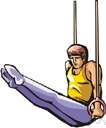 exerciser - sports equipment used in gymnastic exercises