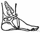 Talaria - definition of talaria by The Free Dictionary