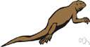 Urosaurus - a reptile genus of Iguanidae