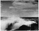breakers - waves breaking on the shore