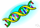 deoxyribose - a sugar that is a constituent of nucleic acids