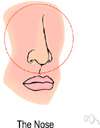nasal - a consonant produced through the nose with the mouth closed