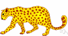 leopard - the pelt of a leopard
