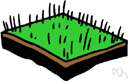 sod - surface layer of ground containing a mat of grass and grass roots