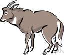 serow - short-horned dark-coated goat antelope of mountain areas of southern and southeastern Asia