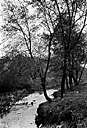 arroyo - a stream or brook