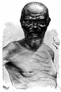 Watusi - a member of a Bantu speaking people living in Rwanda and Burundi