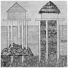 Pile dwelling - dwelling built on piles in or near a lake