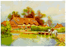 old country - the country of origin of an immigrant