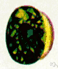 demantoid - a green andradite used as a gemstone