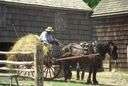Amish sect - an orthodox Anabaptist sect separated from the Mennonites in late 17th century