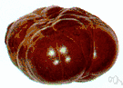 hematite - the principal form of iron ore