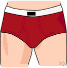 briefs - short tight-fitting underpants (trade name Jockey shorts)