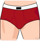 Jockey shorts - short tight-fitting underpants (trade name Jockey shorts)