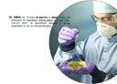 biomedical science - the application of the principles of the natural sciences to medicine